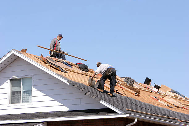 Roof Insulation in Lula, GA